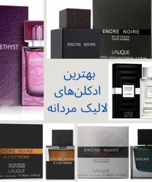 بهترین عطرهای لالیک اصلی را با قیمت مناسب از هادی پرفیوم خریداری نمایید.